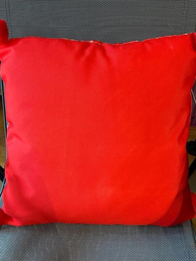Cushions Pop Art Pair NEW  Flower Power