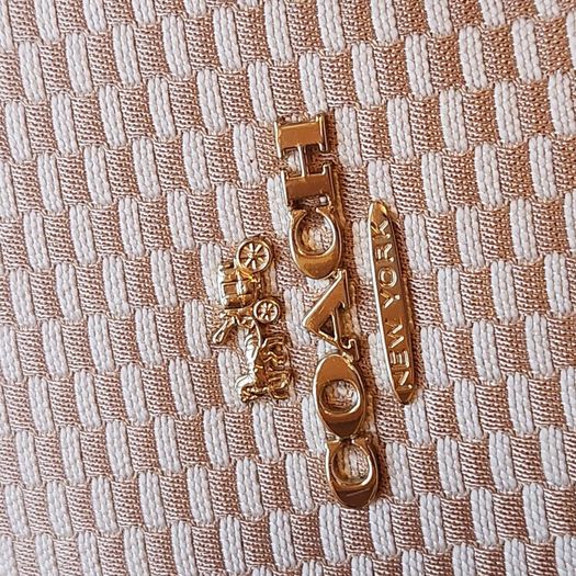 coach handbag (authentic)