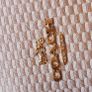 coach handbag (authentic) Image 4