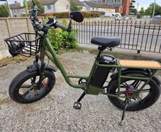 Fiido T1 Pro E-Bike