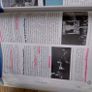 Leaving Cert Book, Modern Ireland 3rd Edition. Image 4