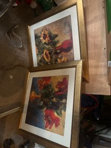 pictures