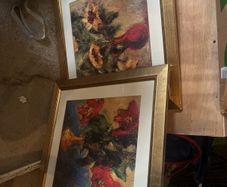 pictures