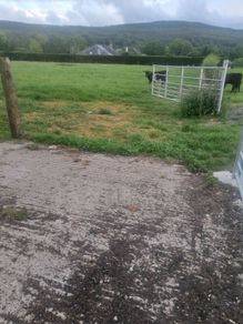Relief milker available tipperary