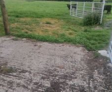 Relief milker available tipperary