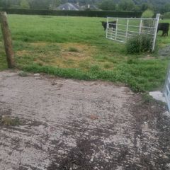 Relief milker available tipperary