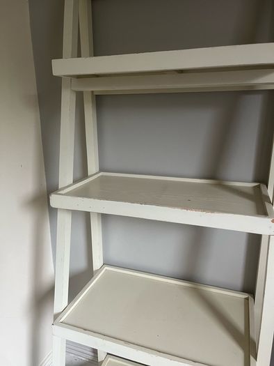 Contemporary ladder book shelf