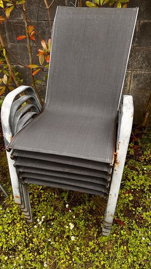 Garden Table & 6 Chairs