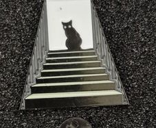 Black cat,  pin back badge.