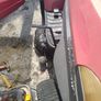mulching mower Image 2