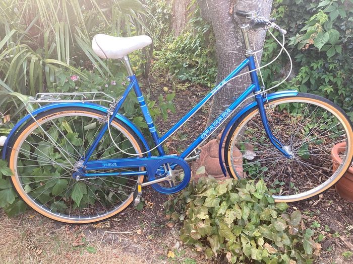 Vintage Raleigh Bike
