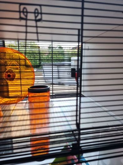 Bedside locker hamster cage