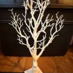 manzanita trees x10