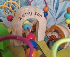 Zany Zoo Activity Cube