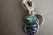 Pandora charm