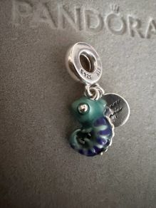 Pandora charm