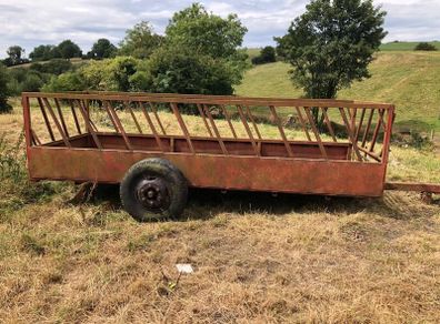 Cattle feeder