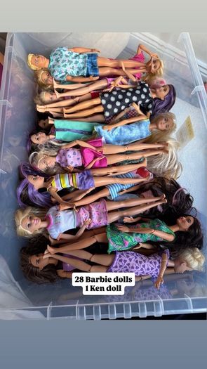Barbie Dreamhouse Bundle