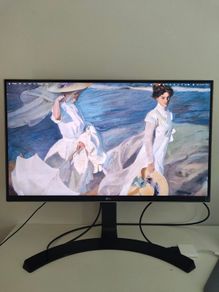 4k 27" LG Monitor