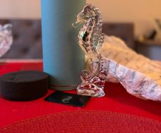 waterford crystal seahorse New