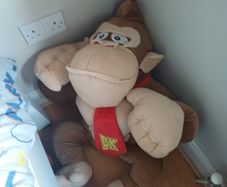 Donkey Kong