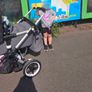 Bugaboo Fox bundle Image 6
