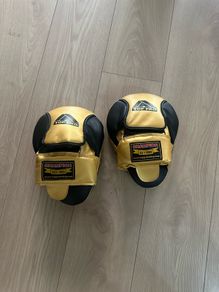 Boxing training gloves