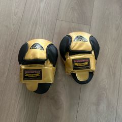 Boxing training gloves