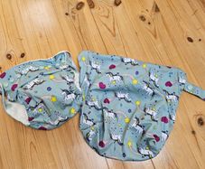 Cloth Nappy and Wetbag Grovia