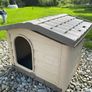 dog kennel Image 2