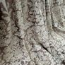 Magnificent Embossed Silk Curtains From Prestigious London Hotel Interlined 83in wide by 105in drop Several Pairs Av Image 8