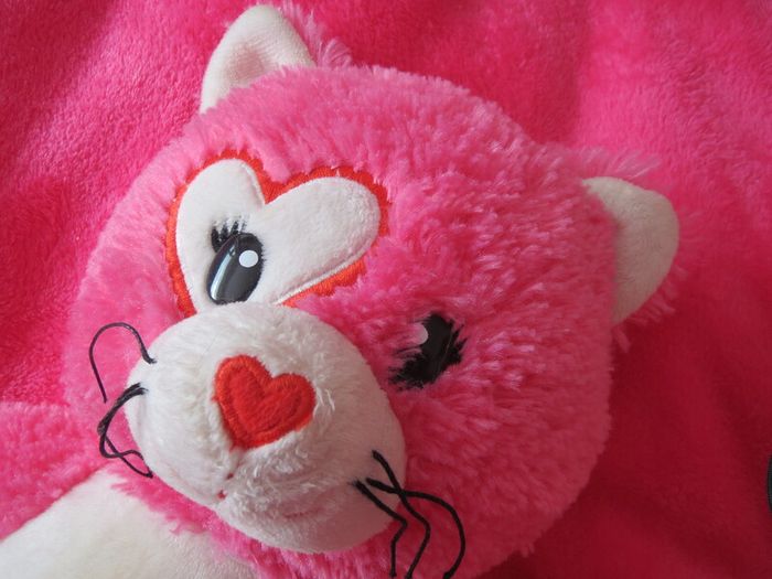 Build A bear Bundle