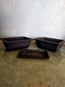 Small Bonsai Pot #10
