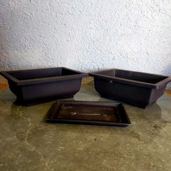 Small Bonsai Pot #10