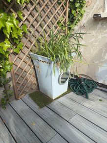 Garden pot
