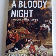 A Bloody Night The Irish at Rorke's Drift Ireland History Zulu War