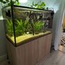 Aquarium/ Fish Not For Sale!!! Image 2