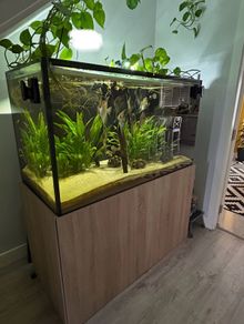 Aquarium/ Fish Not For Sale!!!
