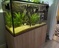 Aquarium/ Fish Not For Sale!!!