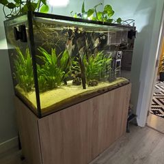 Aquarium/ Fish Not For Sale!!!