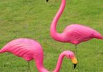 Set of 2 x Lawn Flamingos Garden Pond Ornament NEW