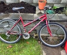 Sports women man red bike teen