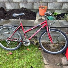 Sports women man red bike teen