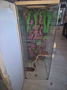 reptile enclosure