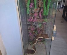 reptile enclosure