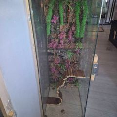 reptile enclosure