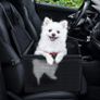 New Pet Car Transport Box Carrying Small Dogs Cats Animals Folding Cage #1397 Image 3