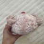Posh Paws girlie pink bear Princess approx. 21 cm. Please see photos Image 10