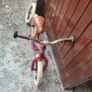 Trybike 2-in-1 Steel Balance Trike / Bike (Vintage Red) Image 10
