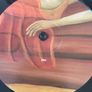 Lambchop - OH (Ohio) Image 4